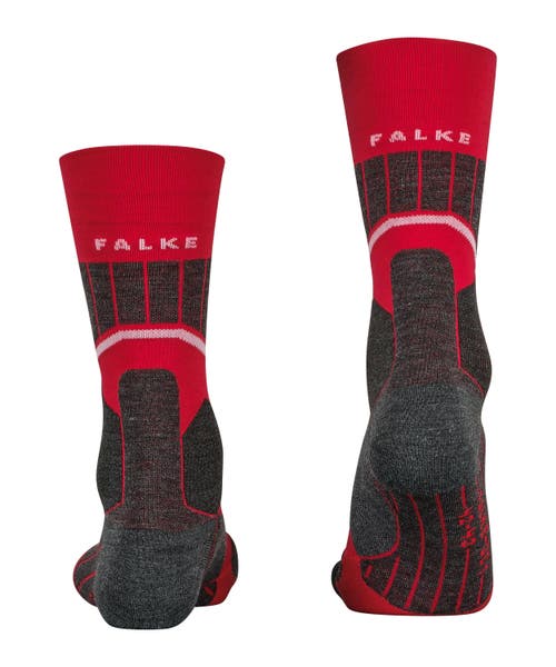 Falke Sc1 Cross Country Ski And Skating Socks In Red