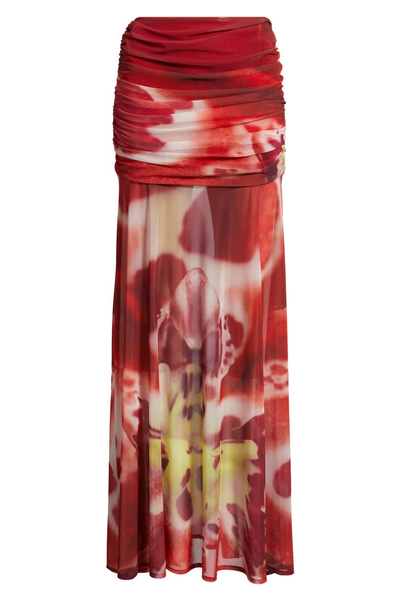Susurro Print Ruched Mesh Maxi Skirt, Alternate, color, BLUSH