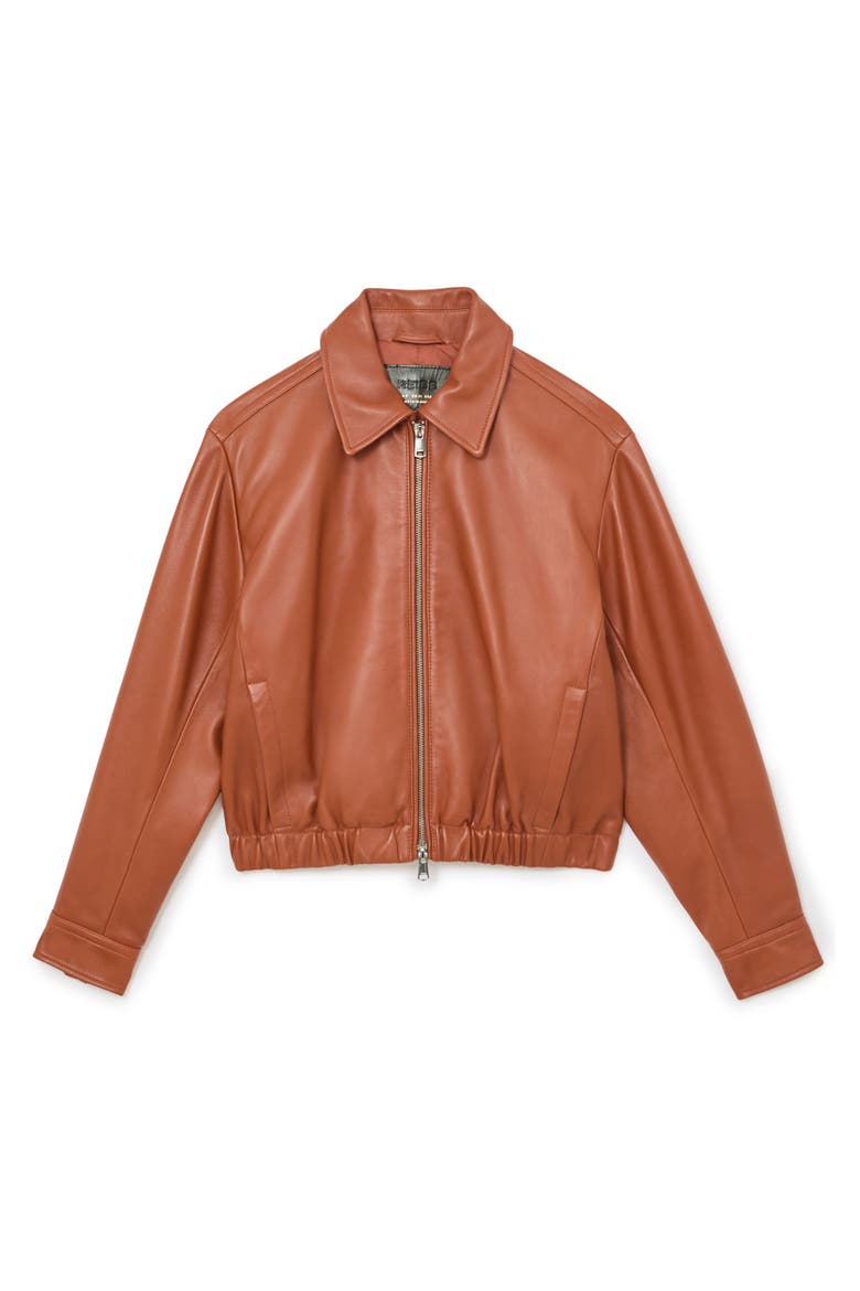 Lottie Sheepskin Leather Jacket, Alternate, color, TAN