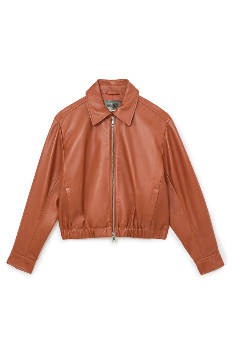 Reiss Lottie Sheepskin Leather Jacket, Alternate, color, Tan