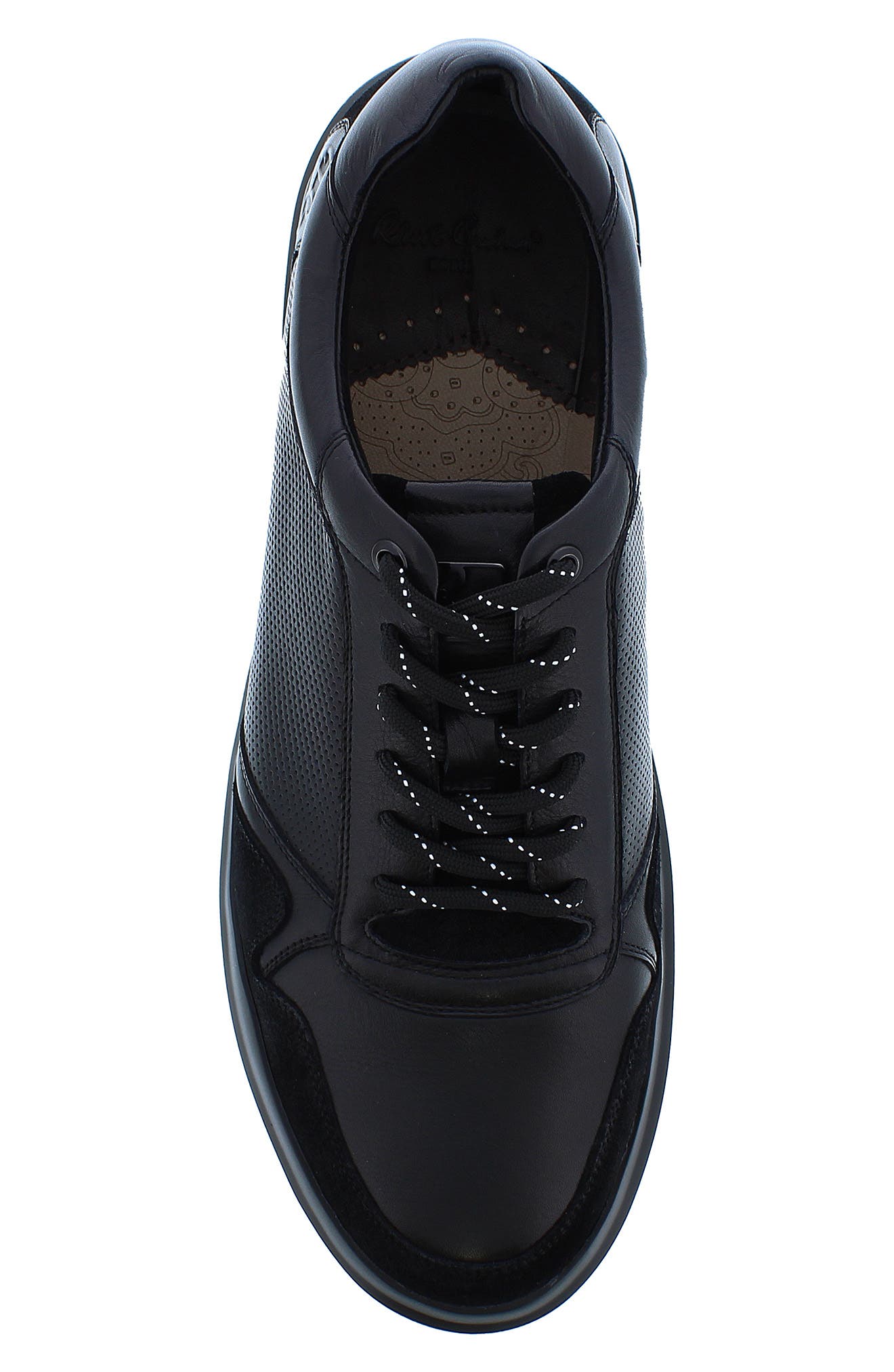 Robert Graham Cava Leather Perforated Sneaker, Alternate, color, 