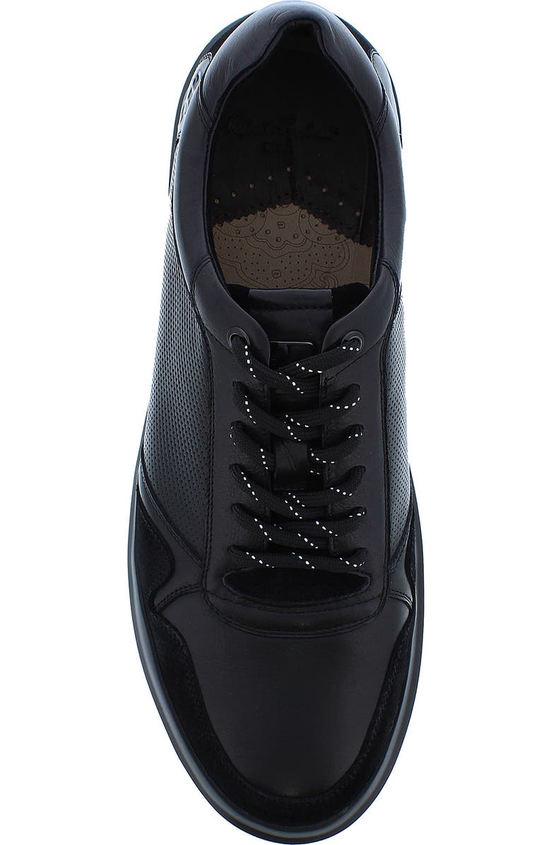 Robert Graham Cava Leather Perforated Sneaker, Alternate, color,