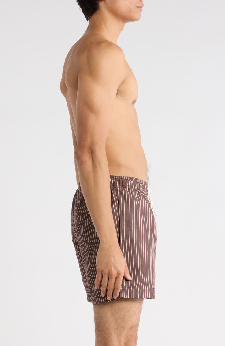 PacSun Bailey Pinstripe Swim Trunks, Alternate, color, Brown/ Tan