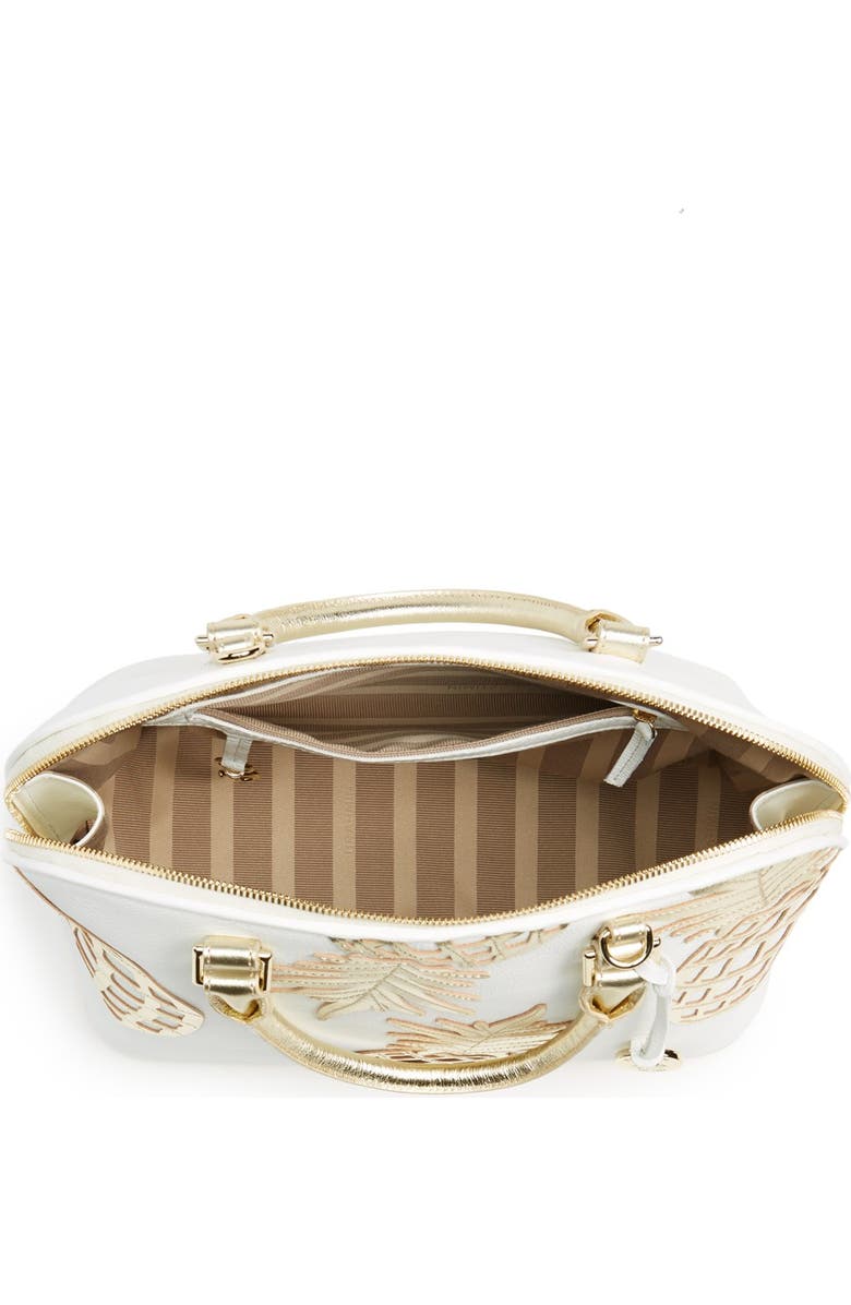 Brahmin , Alternate, color,