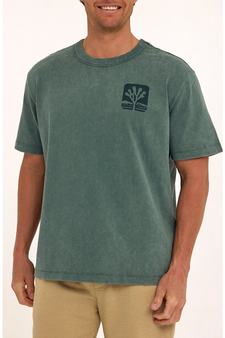 Desert Life Cotton Graphic T-Shirt, Main, color, PEACOCK