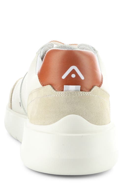 AMBITIOUS AMBITIOUS 12863 LOW TOP SNEAKER
