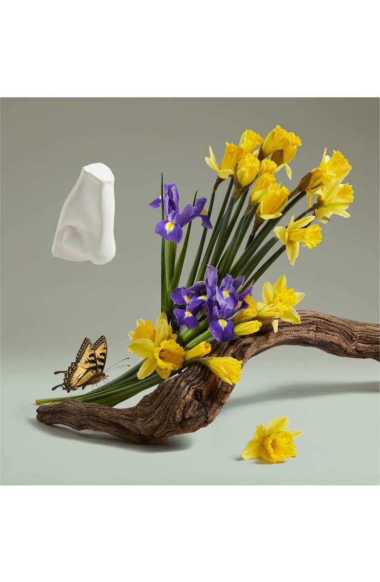 Penhaligon's The Revenge of Lady Blanche Eau de Parfum, Alternate, color,