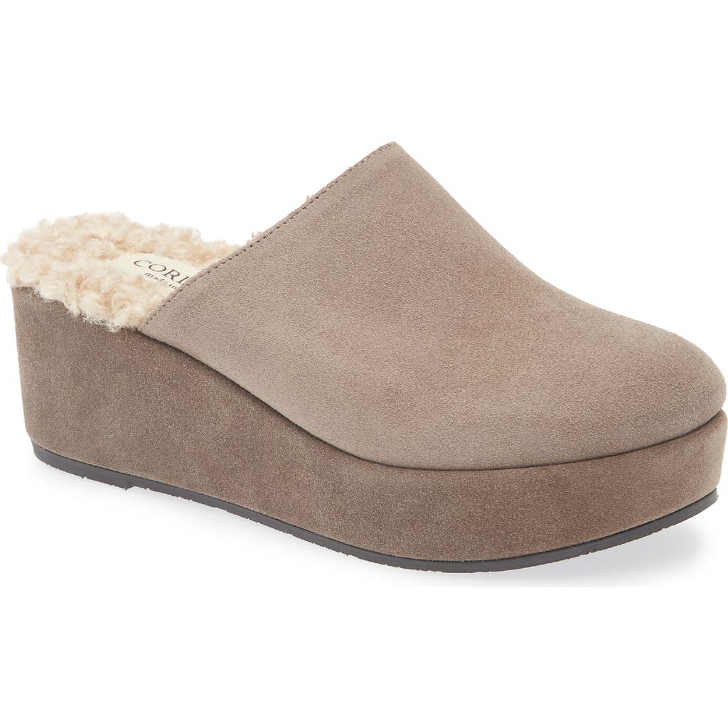 Cordani Camryn Platform Wedge Mule In Brown