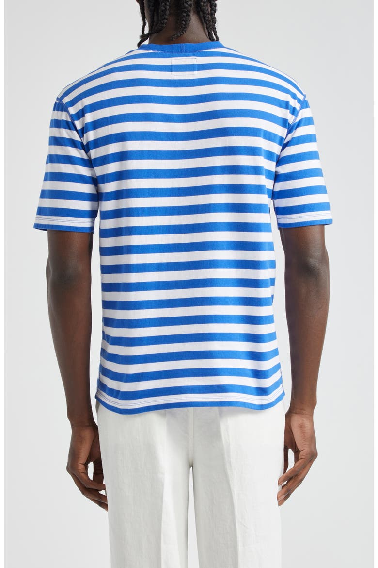 Stripe Cotton Hiking T-Shirt, Alternate, color, NAVY AND WHITE