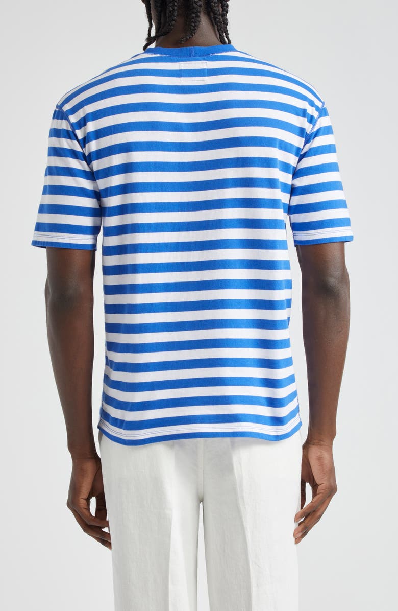 Drake's Stripe Cotton Hiking T-Shirt, Alternate, color, 