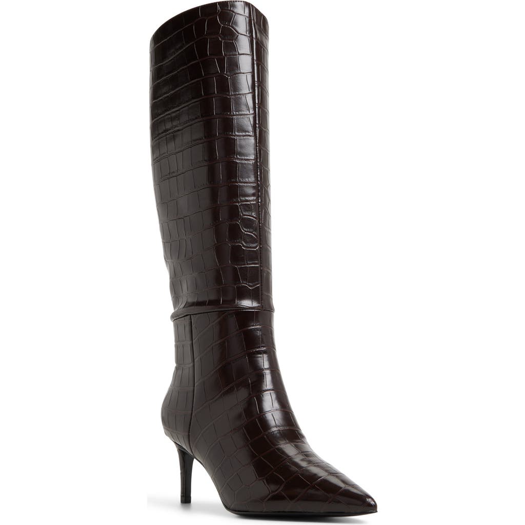 Aldo Heathher Pointed Toe Knee High Boot In Brown