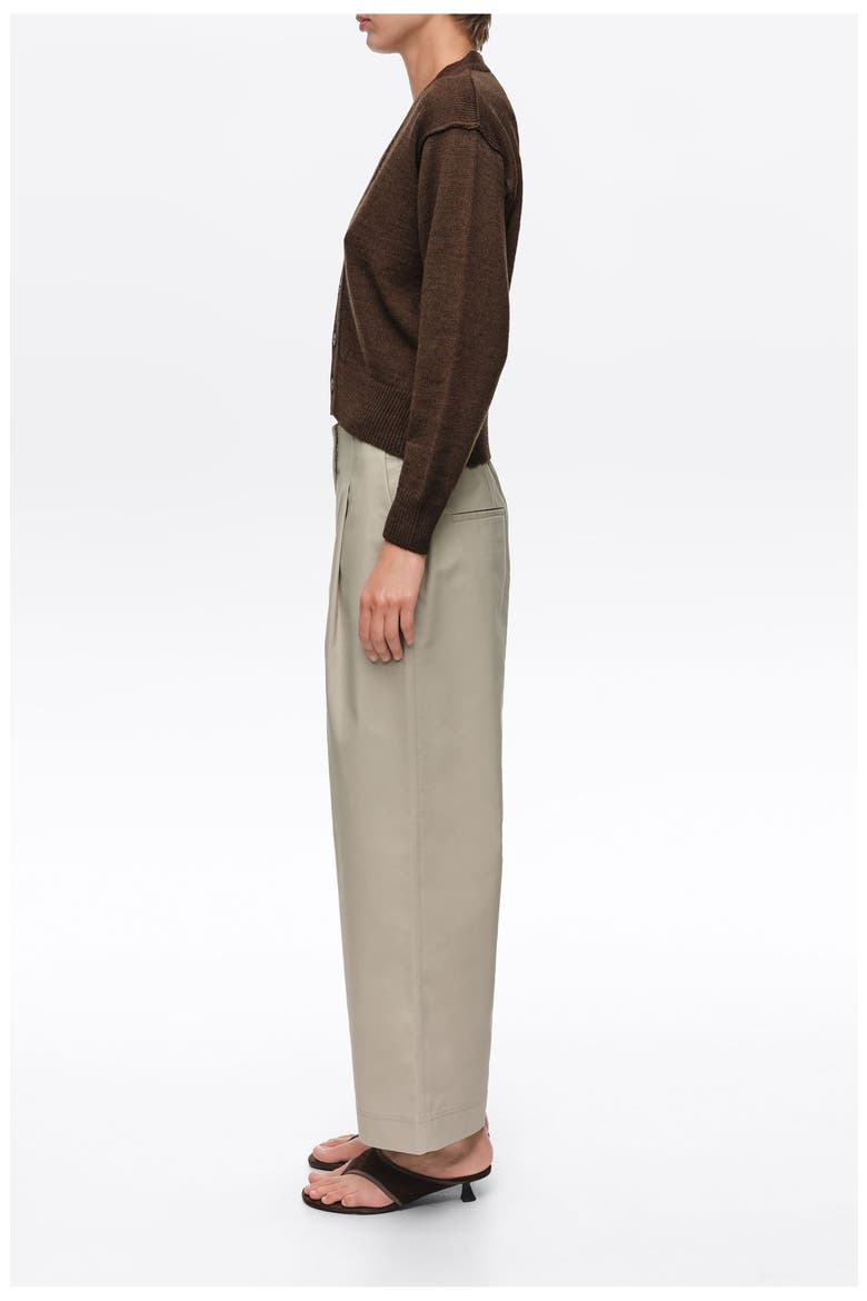 Straight-Leg Pleated Trousers, Alternate, color, LIGHT STONE