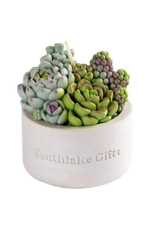 Succulent Candle in Concrete Vessel
