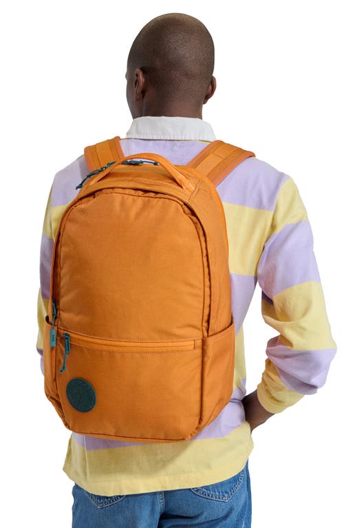 Baboon To The Moon City Water Repellent Backpack In Brown