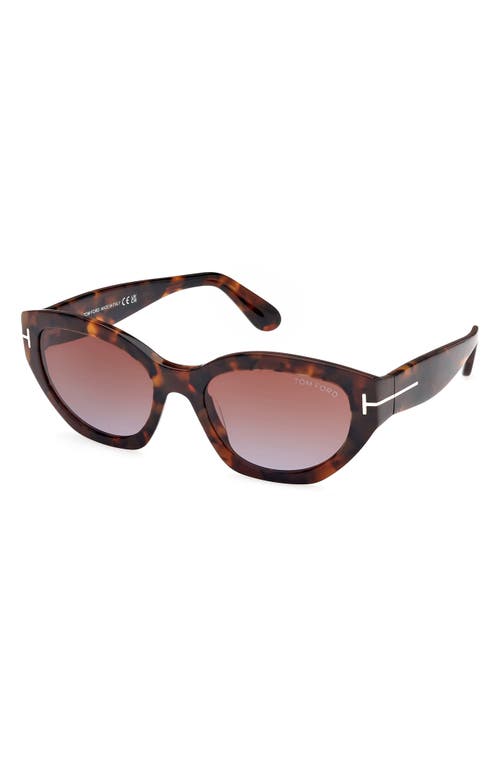 Tom Ford Sunglasses In Brown