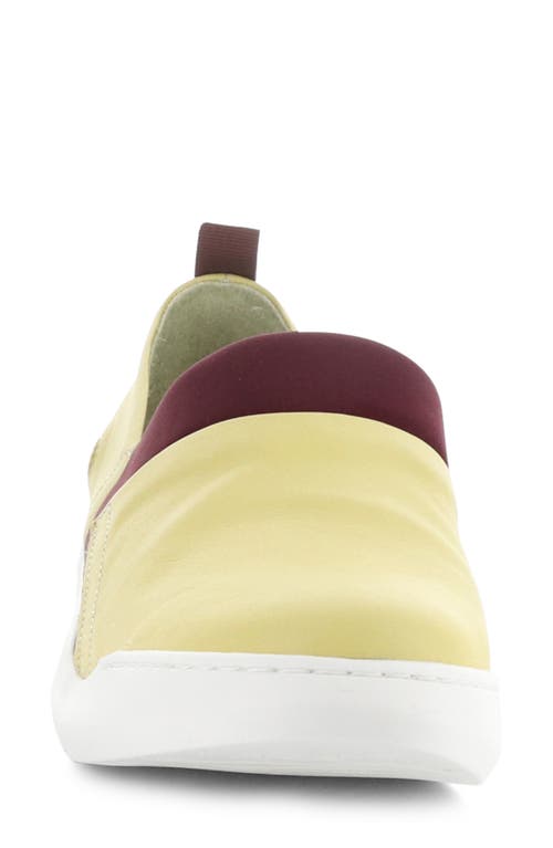 Fly London Baju Slip-on Sneaker In Multi