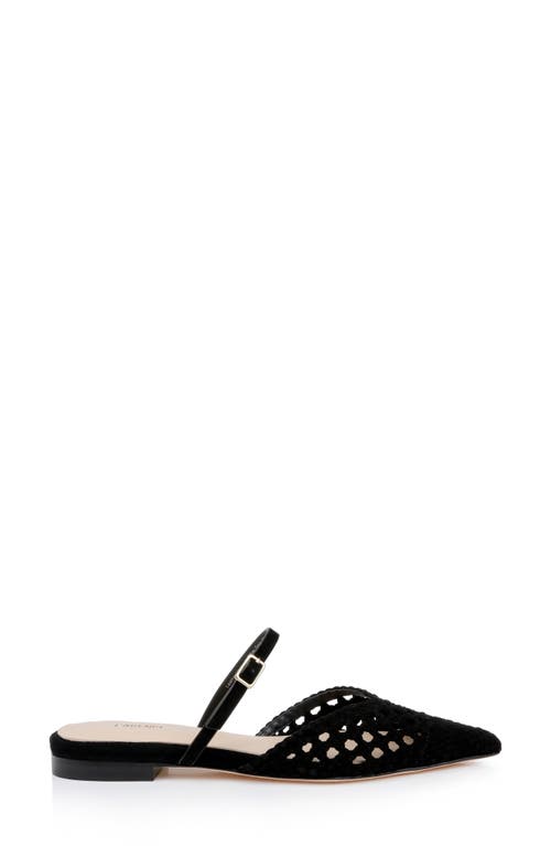 L Agence L'agence Jacklyn Mary Jane Pointed Cap Toe Mule In Black