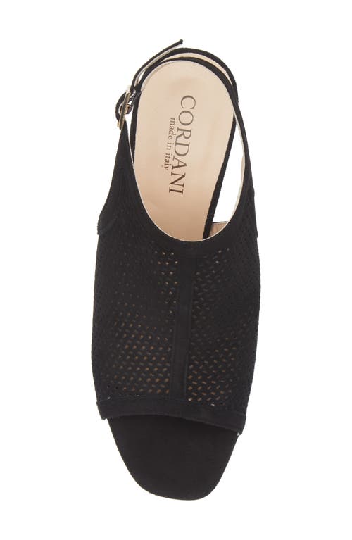 Cordani Illia Ankle Strap Sandal In Black