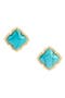 selected Gold Variegated Turq