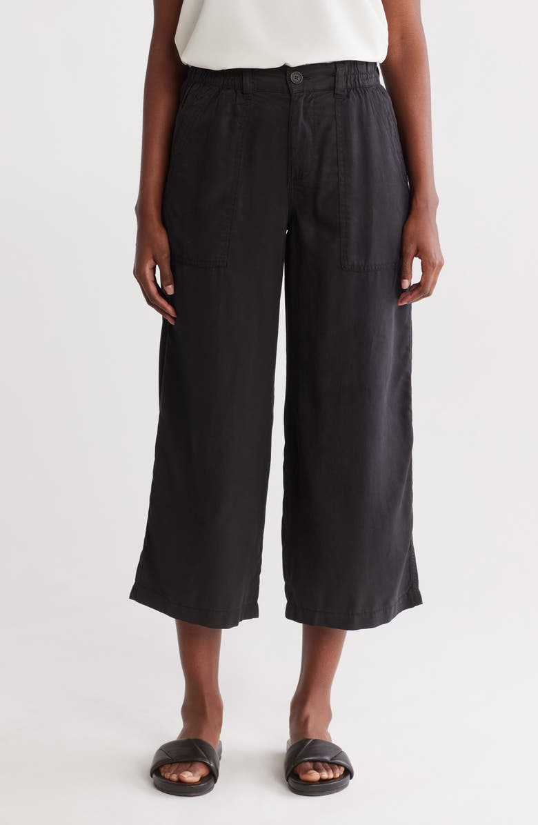 Sanctuary Wanderer Crop Wide Leg Pants, Main, color, Washed Bla