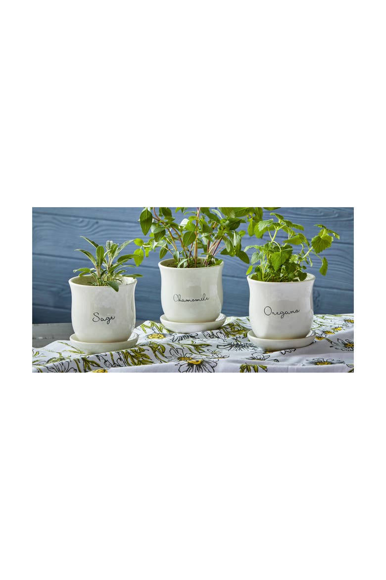 Sage Ceramic Planter with Saucer Set Multicolor Garden Pots, Alternate, color, White