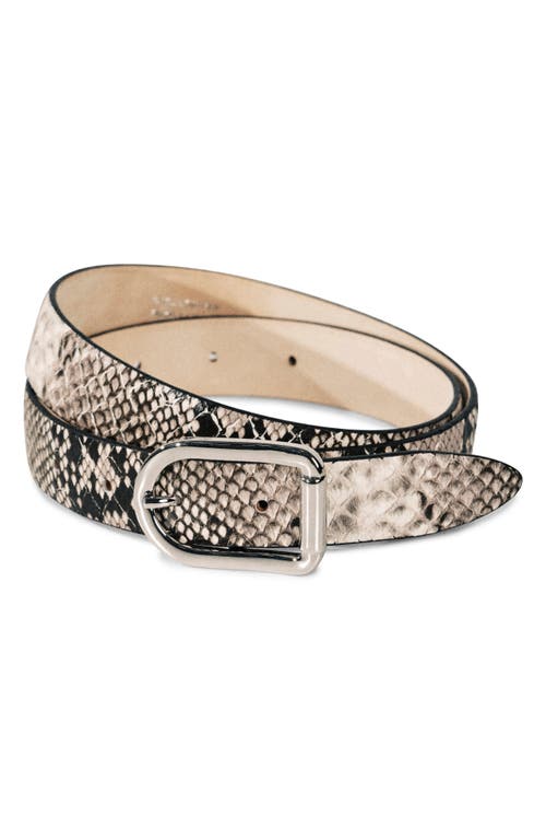 Dehanche Déhanche Mija Snakeskin Print Leather Belt In Multi