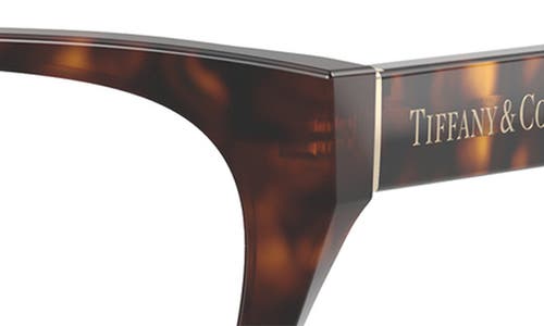 Tiffany & Co . 54mm Pillow Optical Glasses In Havana