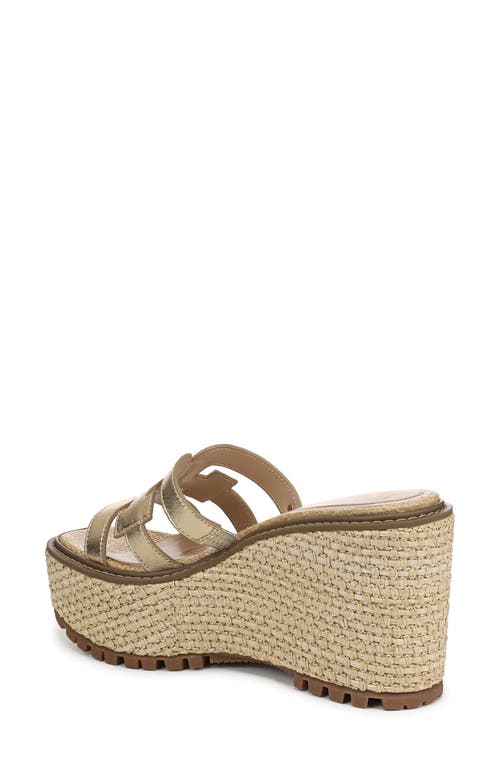 Shop Sam Edelman Laine Platform Wedge Sandal In Amber Gold
