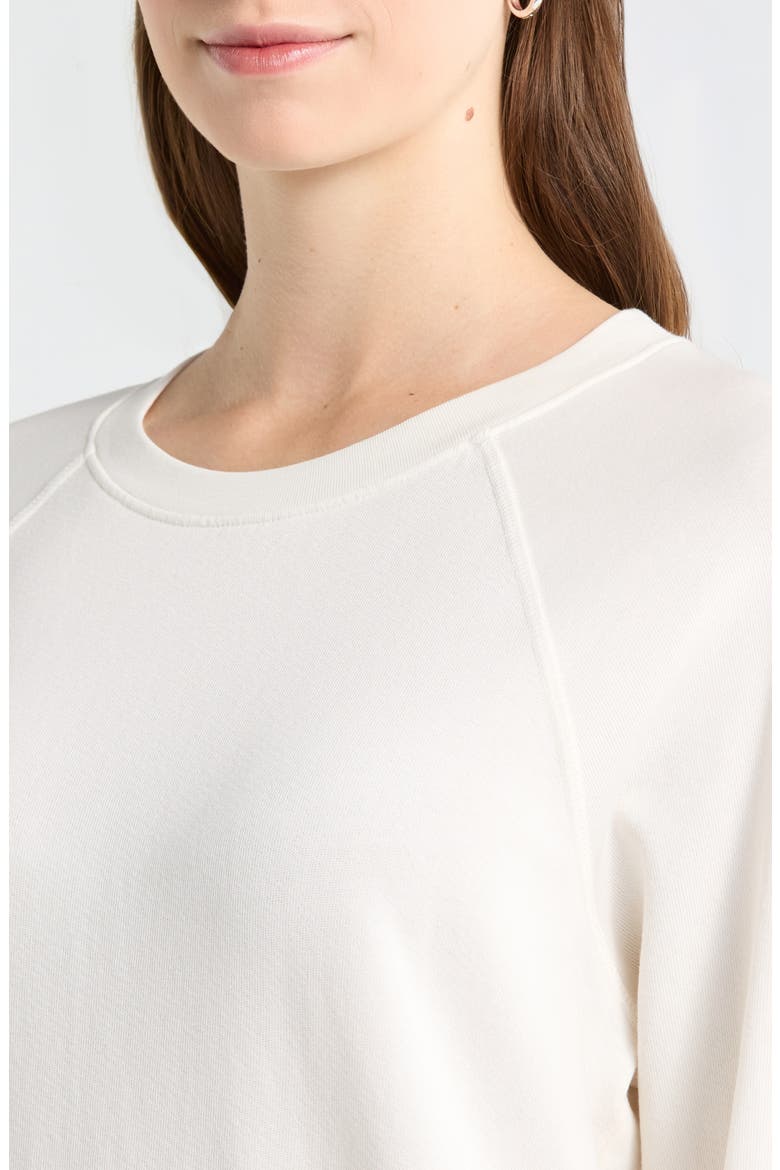 The Organic Cotton Raglan Sweatshirt, Alternate, color, Ivory