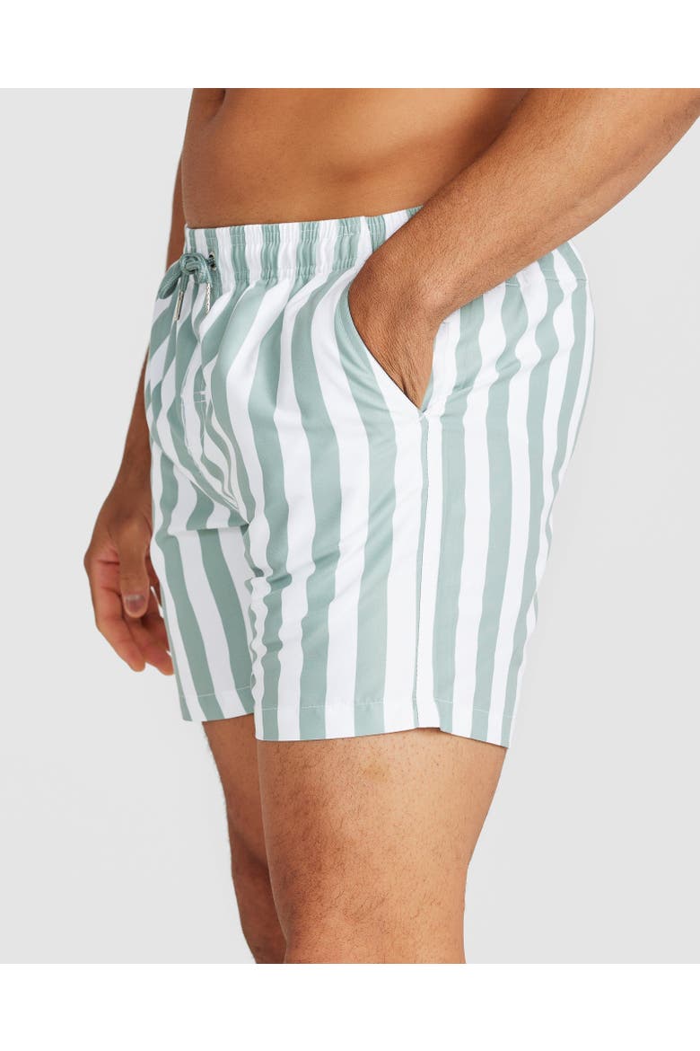 Naxos Swim Short, Alternate, color, Sage Green & White Stripe