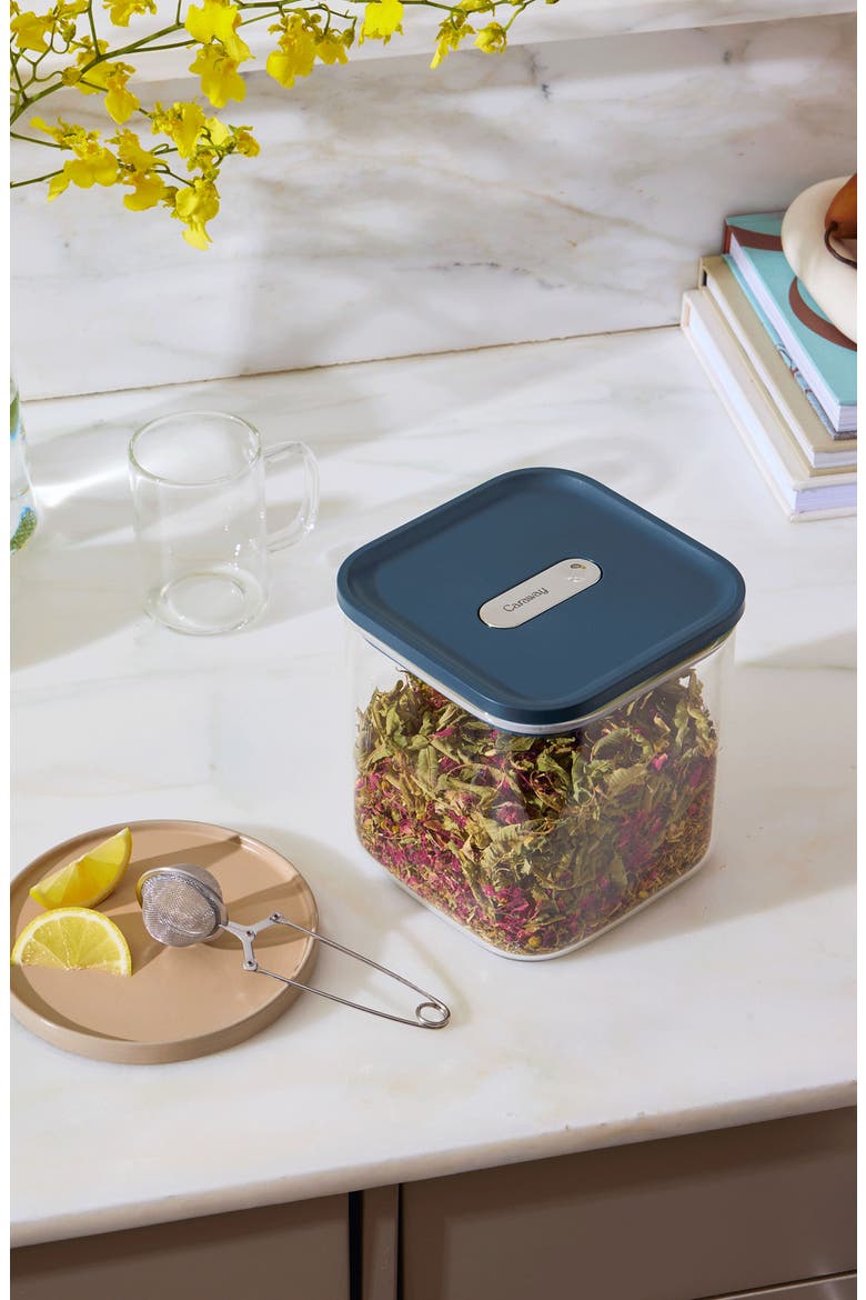 Medium 2.5-Quart Airtight Storage Container, Alternate, color, PERRACOTTA