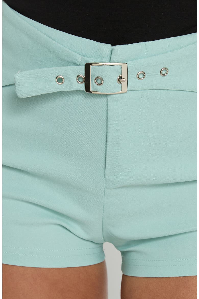 Viridian Belted Micro Shorts, Alternate, color, BLUE