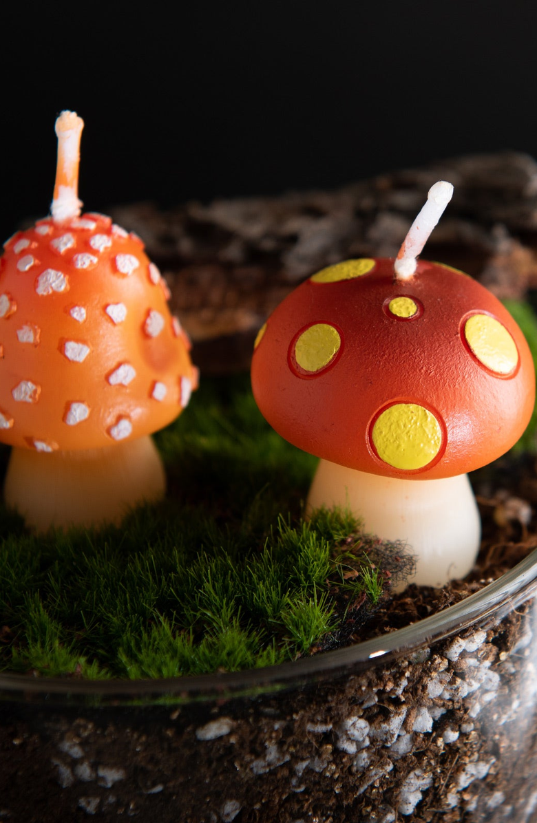 Southlake gifts Mini Mushroom Candle Set, Alternate, color, Red With White Spots