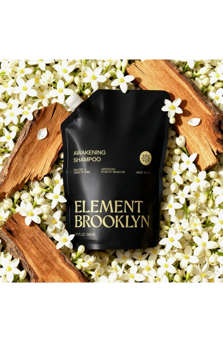 Element Brooklyn Awakening Shampoo, Alternate, color, Awakening