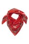 Red Paisley