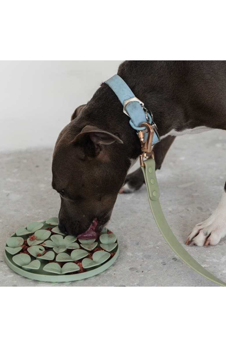 Dexypaws Textured Dog Feeding Pad, Alternate, color, Green