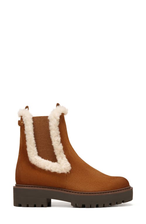Sam Edelman Laguna Faux Fur Trim Platform Chelsea Boot In Brown