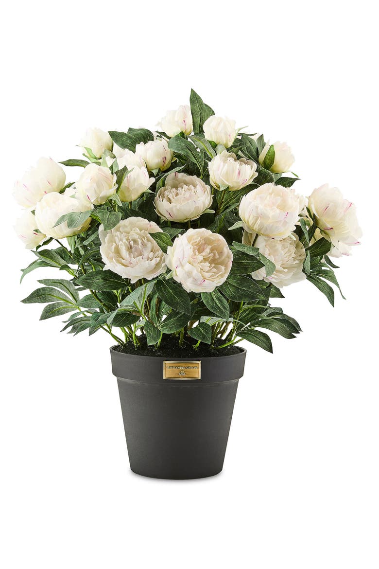 White Peony Urn Filler, Main, color, WHITE