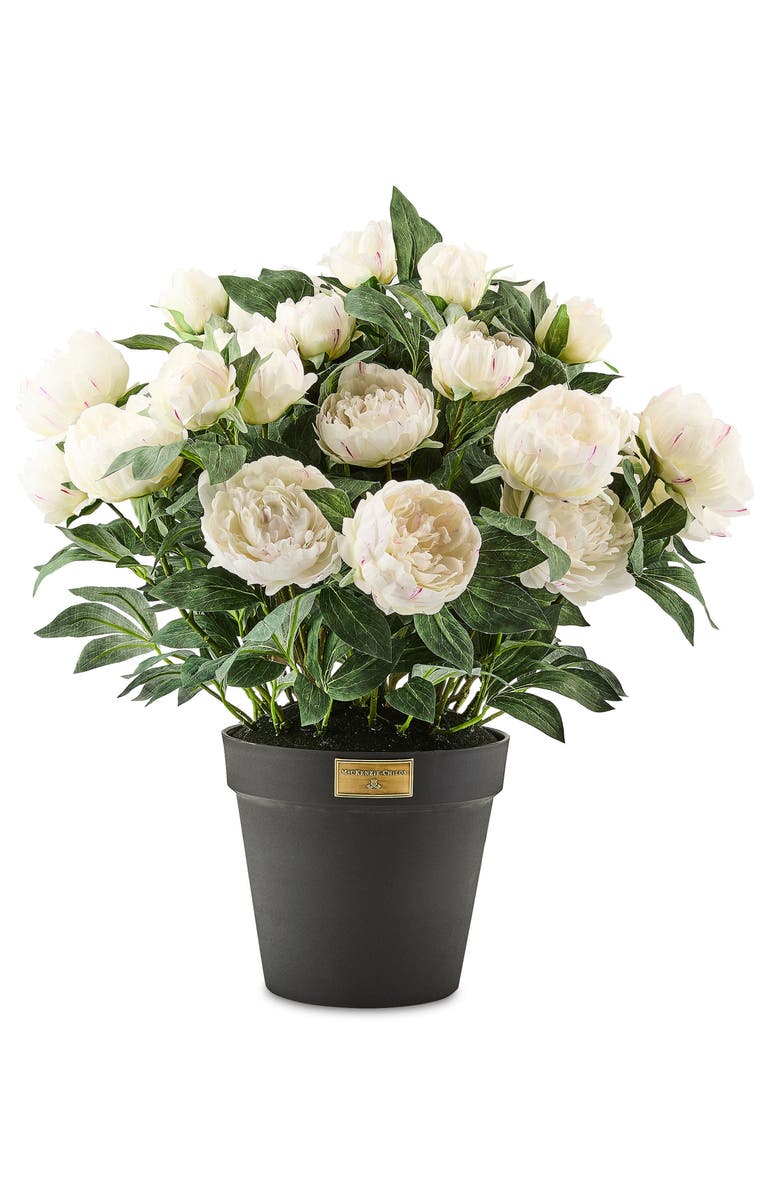 MACKENZIE CHILDS White Peony Urn Filler, Main, color, White