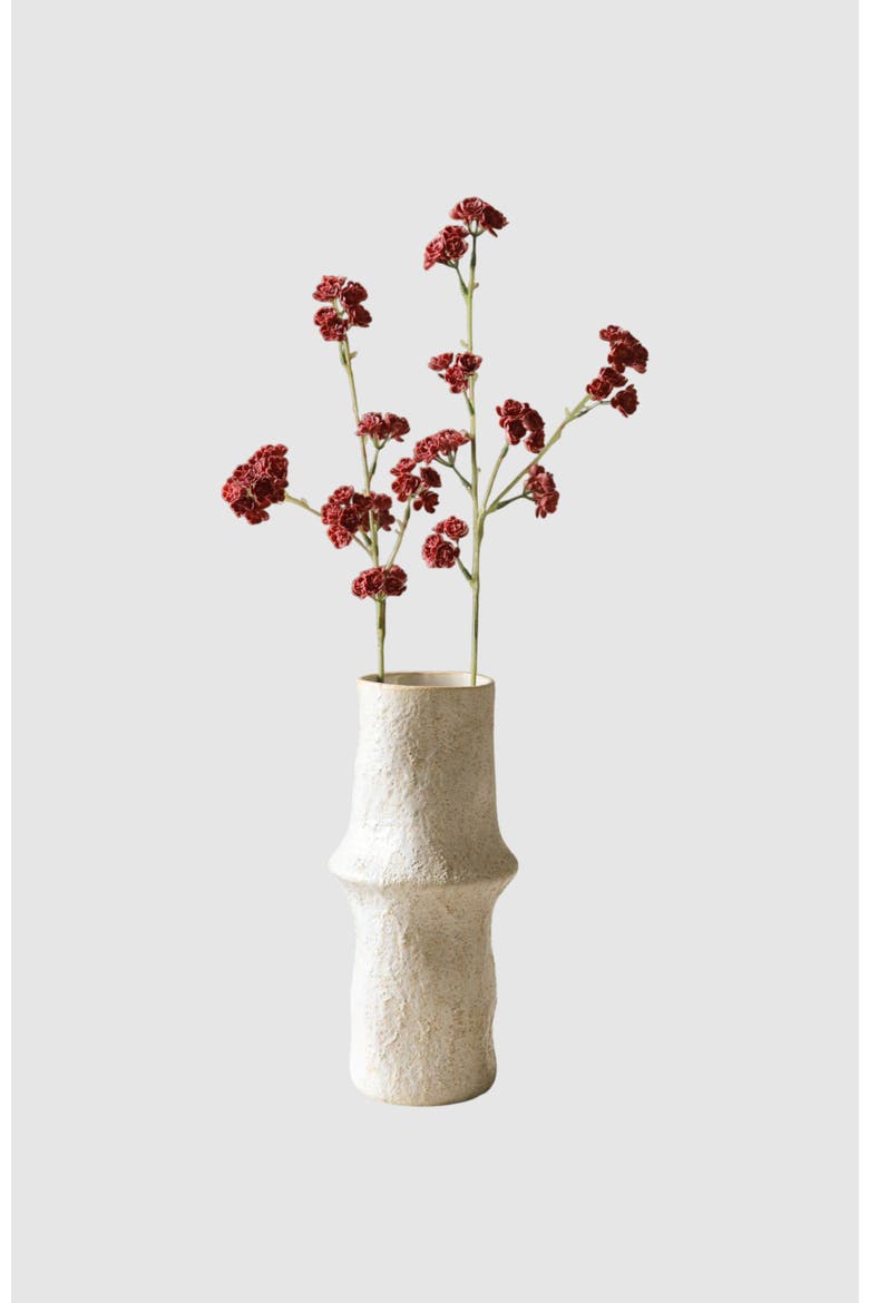 Red Succulent Stem, Alternate, color, Red