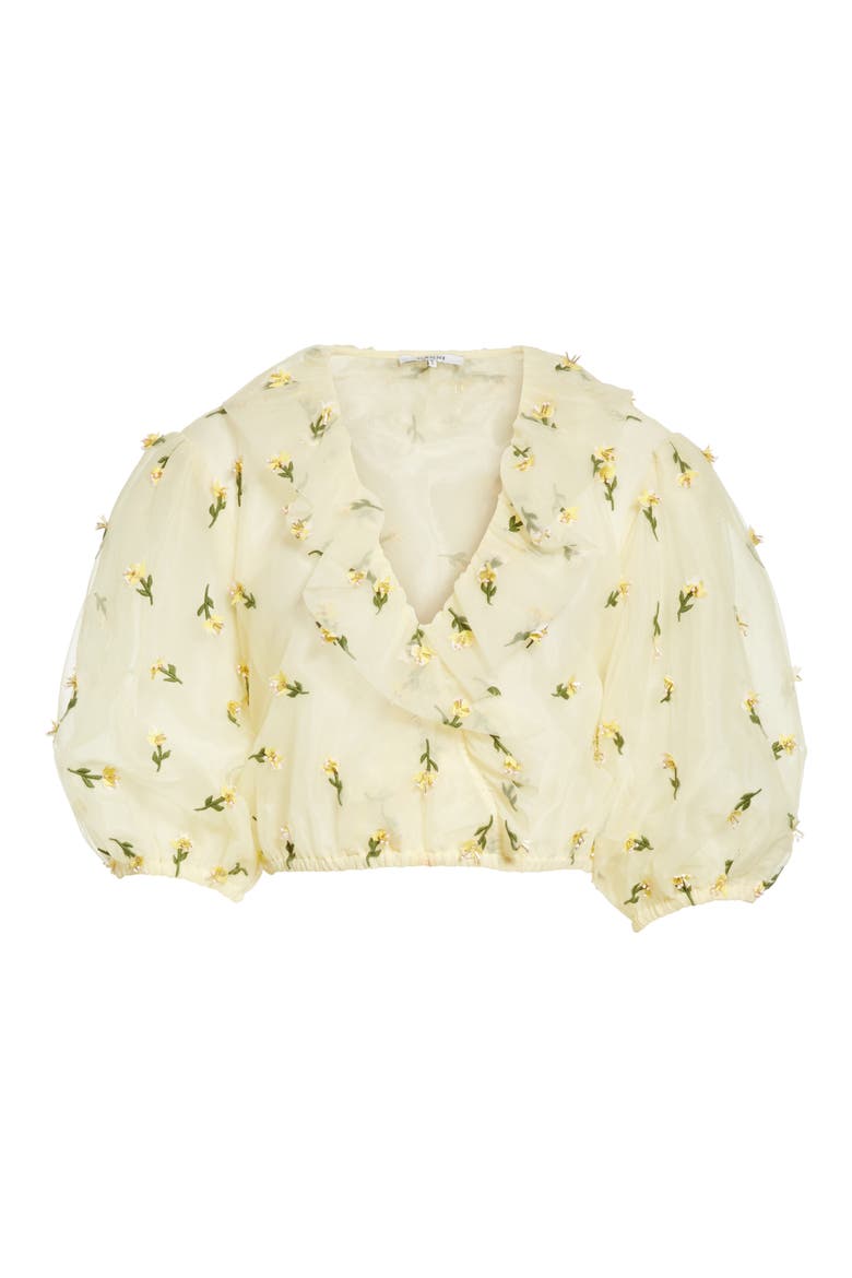 Bliss Embroidered Floral Wrap Top, Alternate, color, ANISE FLOWER