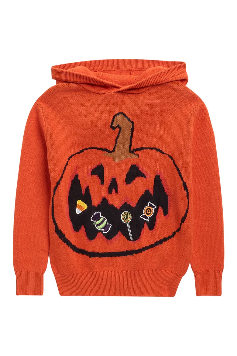 Kids' Embroidered Cotton Hooded Sweater, Main, color, ORANGE JACKO