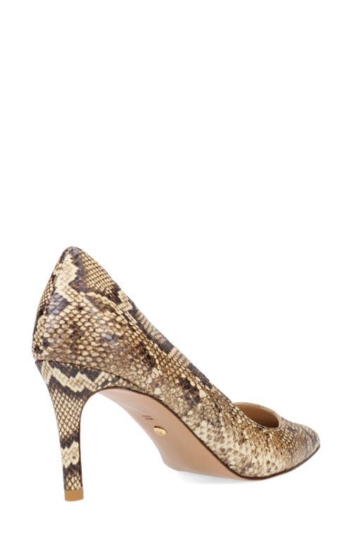Pelle Moda Lizel 2 Pointed Toe Pump In Multi