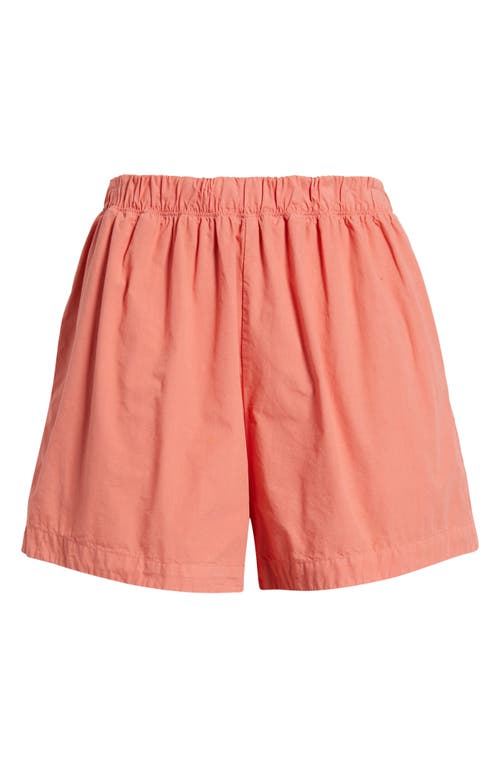 Nation Ltd Flynn Pima Cotton Poplin Shorts In Coral Kiss