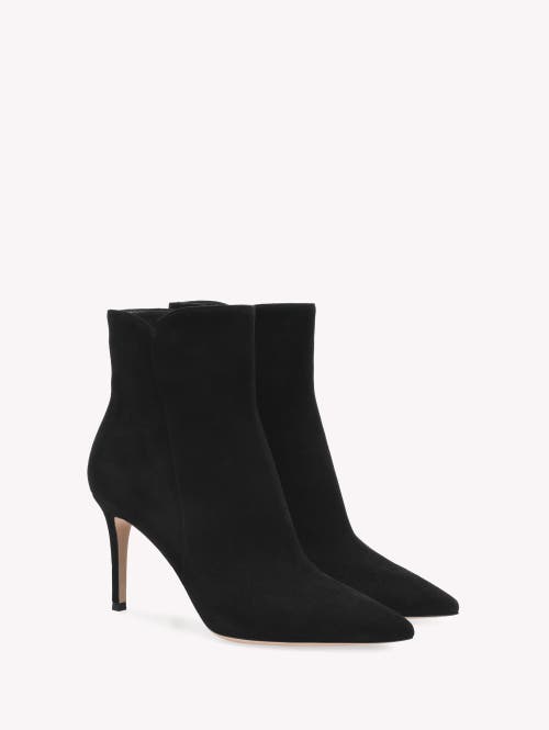 Shop Gianvito Rossi Levy 85 Bootie In Black Suede