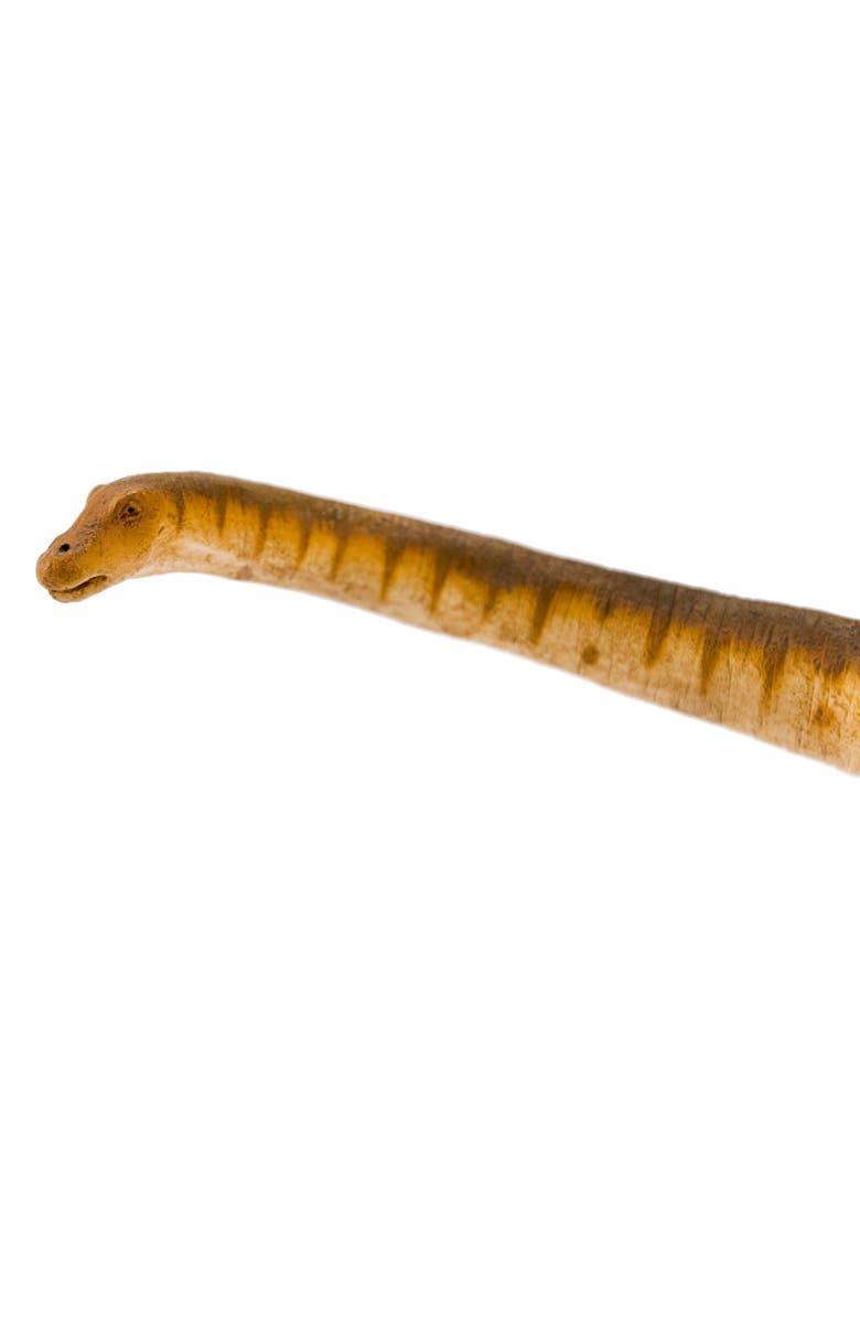 Safari Ltd. Patagotitan Toy, Alternate, color, NO COLOR