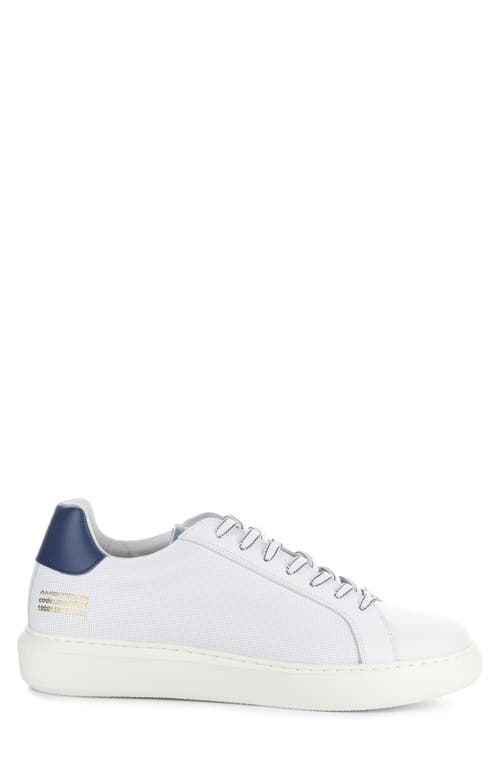AMBITIOUS AMBITIOUS 10634A LOW TOP SNEAKER