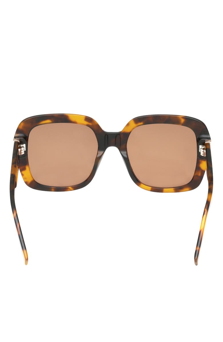 ABERCROMBIE & FITCH 55mm Square Sunglasses, Alternate, color, Dark Havana / Brown