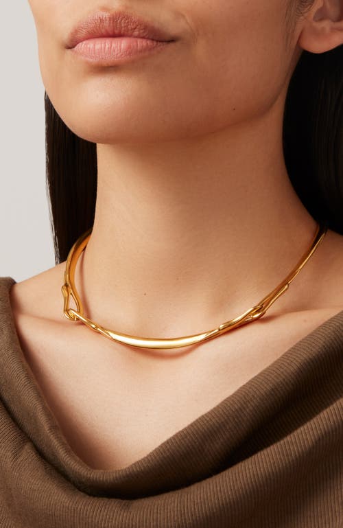 Jenny Bird Lisieux Collar Necklace In High Polish Gold