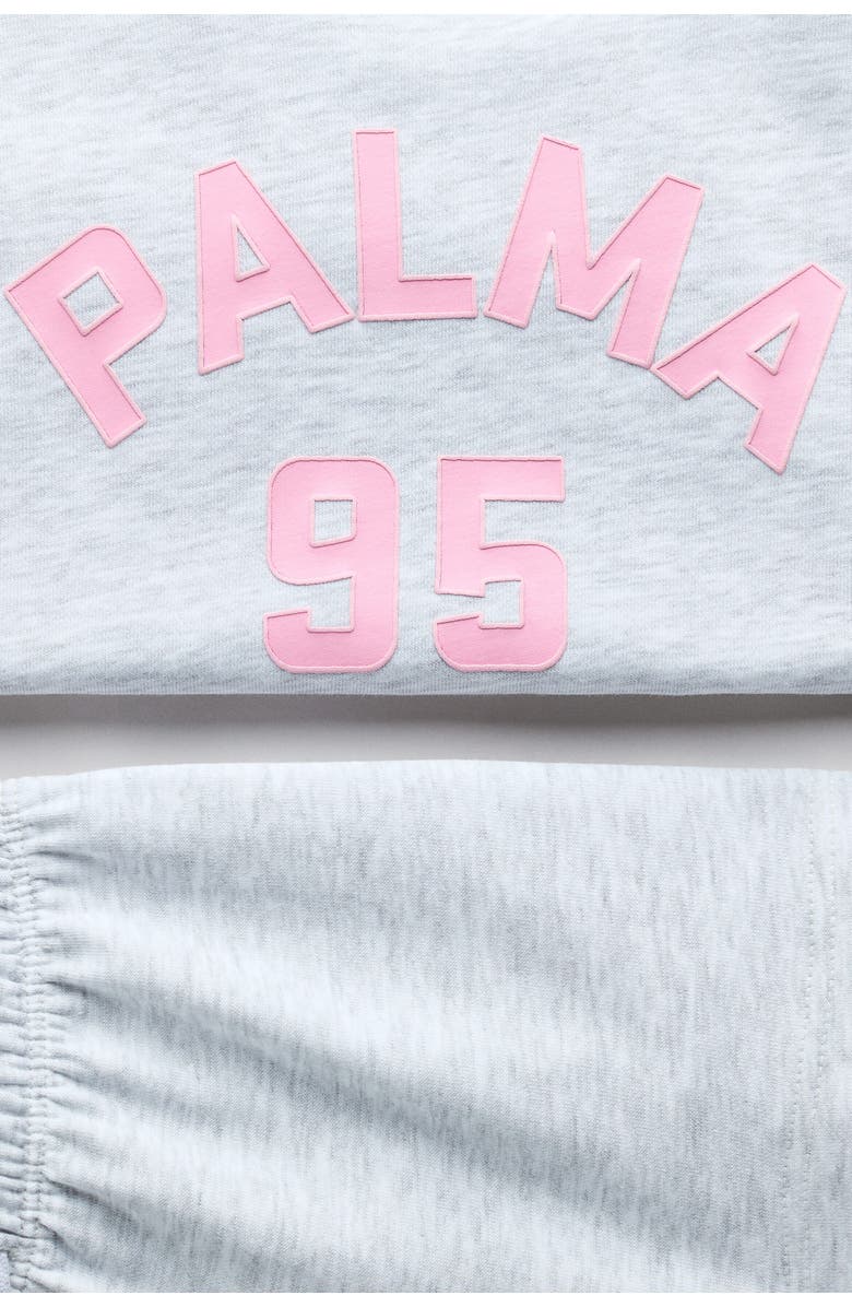 H&M 2-piece Sweatshirt Set, Alternate, color, Light Gray Melange/Palma